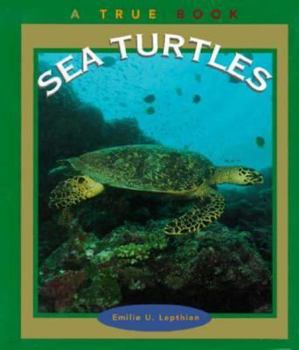 Library Binding Sea Turtles Book