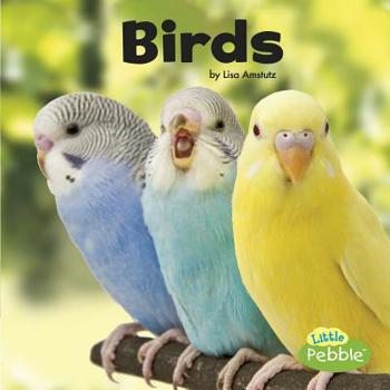 Hardcover Birds Book