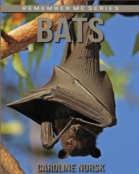 Paperback Bats: Amazing Photos & Fun Facts Book About Bats For Kids Book