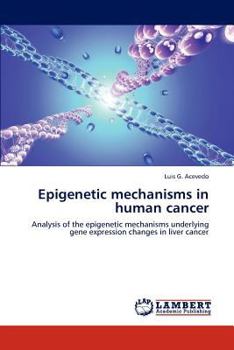 Epigenetic mechanisms in human cancer: Analysis of the epigenetic mechanisms underlying gene expression changes in liver cancer