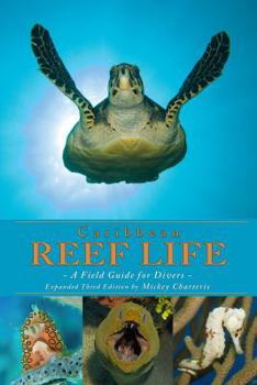 Paperback Caribbean Reef Life Book