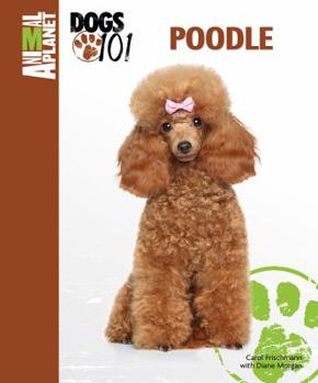 Poodle Animal Planet: Dogs 101 - Book  of the Animal Planet Dogs 101