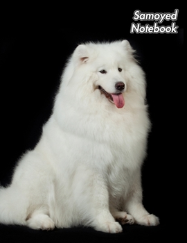 Samoyed Notebook: Sammy | Composition Book 150 pages 8.5 x 11 in. | College Ruled | Writing Notebook | Lined Paper | Soft Cover | Plain Journal
