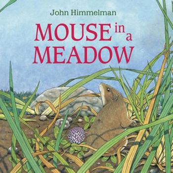 Hardcover Mouse in a Meadow Book