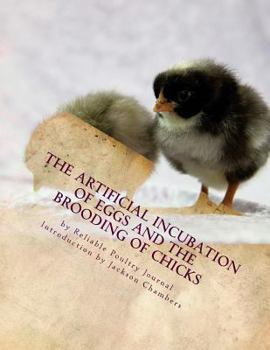 Paperback The Artificial Incubation of Eggs and the Brooding of Chicks Book