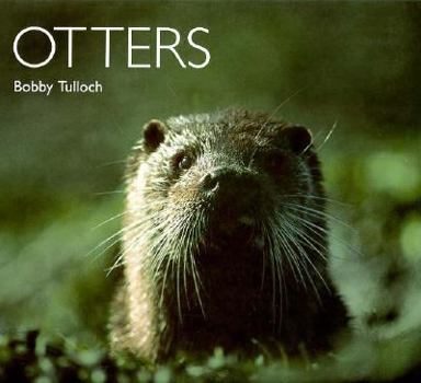 Paperback Otters Book