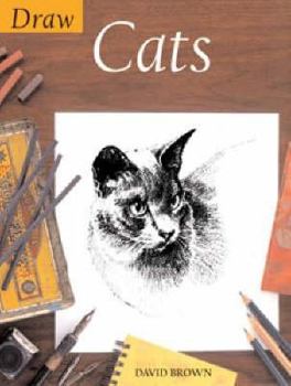 Paperback Draw Books: Draw Cats Book