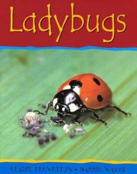 Paperback Ladybugs-PB Book