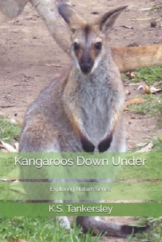 Paperback Kangaroos Down Under Book
