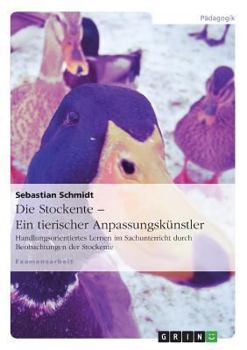 Paperback Die Stockente - ein tierischer Anpassungskünstler: Handlungsorientiertes Lernen im Sachunterricht durch Beobachtungen der Stockente [German] Book