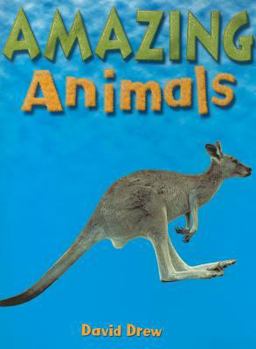 Paperback Literacy: Student Reader Grade 1 Amazing Animals Book