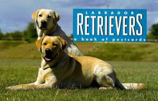 Paperback Labrador Retrievers: A Book of Postcards Book