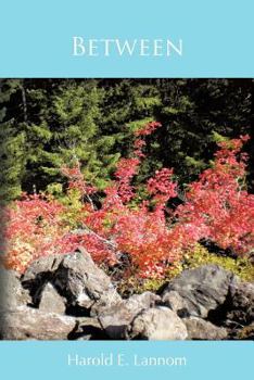 Paperback Between Book