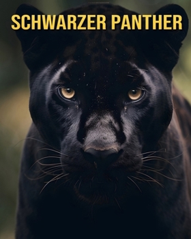 Schwarzer Panther: Spaßfakten und erstaunliche Bilder über Schwarzer Panther