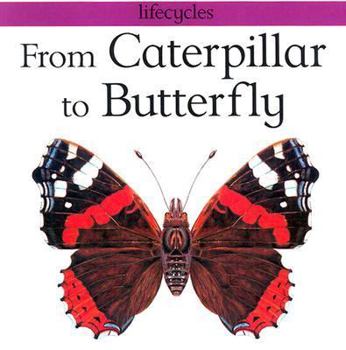 Paperback From Caterpillar to Butterfly Book