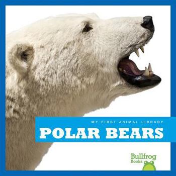 Hardcover Polar Bears Book