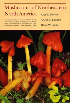 Paperback Mushrooms of Northeastern North: America. in the Era of World War I Book