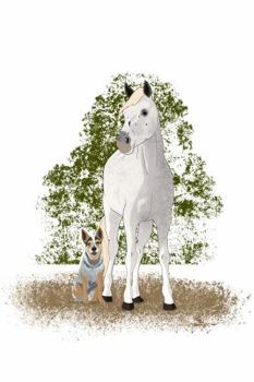 Paperback The Blue Dog and The White Horse: Adventures on a Texas Ranch Book