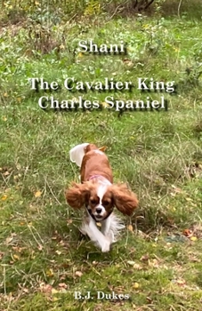 Shani, The Cavalier King Charles Spaniel