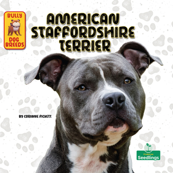 Hardcover American Staffordshire Terrier Book