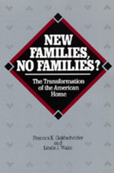 Paperback New Families, No Families?: The Transformation of the American Home Volume 6 Book
