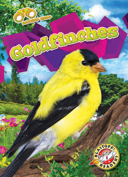 Library Binding Goldfinches Book