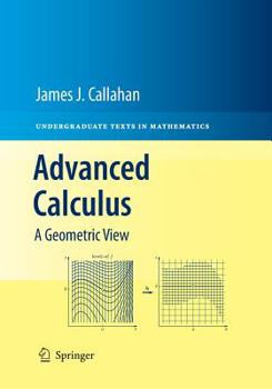 Paperback Advanced Calculus: A Geometric View Book