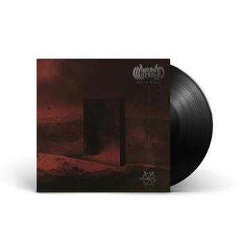 Vinyl Portal Tombs Book