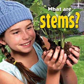 Paperback What Are Stems? Book