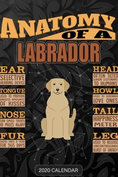 Paperback Anatomy Of A Labrador Retriever: Labrador Retriever 2020 Calendar - Customized Gift For Labrador Retriever Dog Owner Book