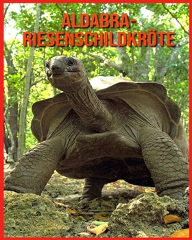 Aldabra-Riesenschildkr?te: Kinderbuch Erstaunliche Fakten & Bilder ?ber Aldabra-Riesenschildkr?te