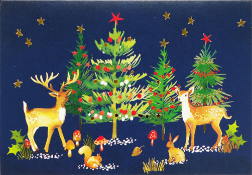 Hardcover Woodland Wonder Small Boxed Holiday Cards Book