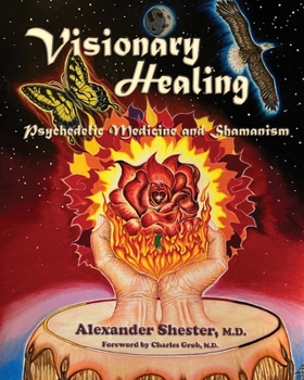 Paperback VISIONARY HEALING Psychedelic Medicine and Shamanism Book