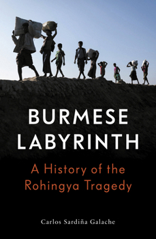 Paperback The Burmese Labyrinth Book