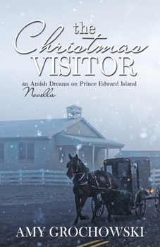 Paperback The Christmas Visitor Book