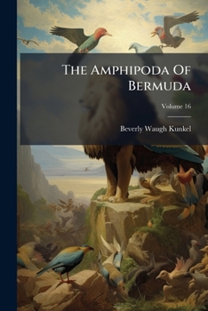Paperback The Amphipoda Of Bermuda Book