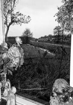 Paperback Hamburger Eyes No. 34 Book