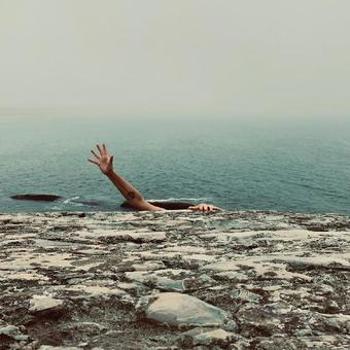 Vinyl A Face In Your Life Book