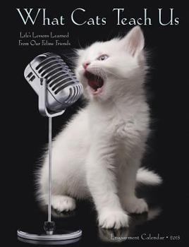 Calendar What Cats Teach Us 2015 Engagement Calendar Book