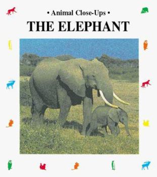 Paperback The Elephant (Animal Close-Ups) Book
