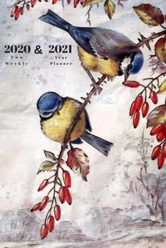 Paperback 2020 & 2021 Two Year Weekly Planner - Appointment Book Gift - Two-Year Agenda Notebook For Bird Lover: Nature Painting Cover - Month Calendar: 2 Years Book