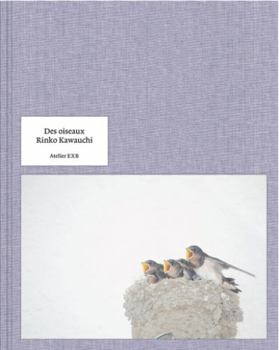 Hardcover Des oiseaux Rinko Kawauchi - version anglaise Book