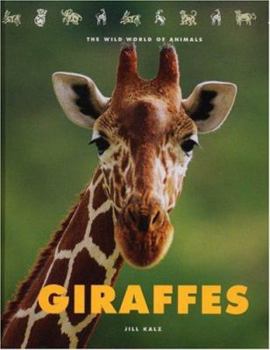 Library Binding Giraffes Book