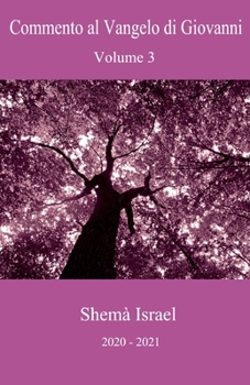 Paperback Commento al Vangelo di Giovanni Volume 3: Shem? Israel 2020-2021 [Italian] Book