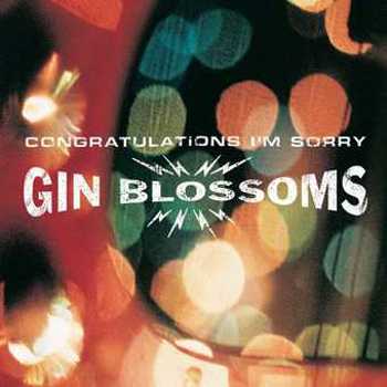 Vinyl Congratulations I'm Sorry (LP) Book