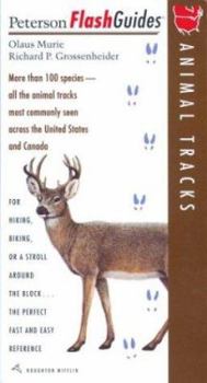 Paperback Animal Tracks Book