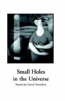 Paperback Small Holes in the Universe Book