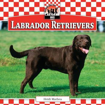 Labrador Retrievers - Book  of the Dogs