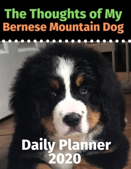 The Thoughts of My Bernese Mountain Dog: Daily Planner 2020