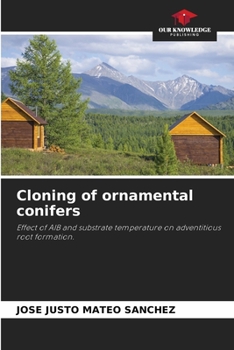 Paperback Cloning of ornamental conifers Book